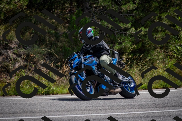 202509071133-DSC_2896_c2