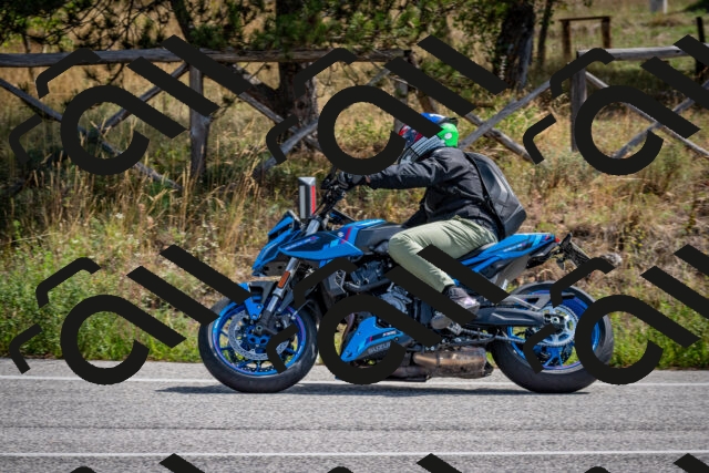 202509071133-DSC_2897_c2