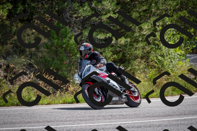 202509071133-DSC_2898_c2