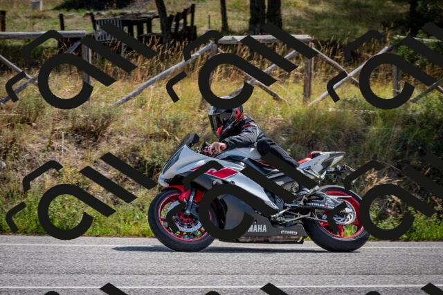 202509071133-DSC_2899_c2