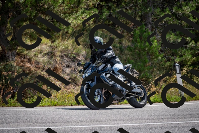 202509071133-DSC_2900_c2