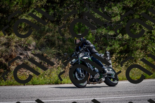 202509071133-DSC_2902_c2