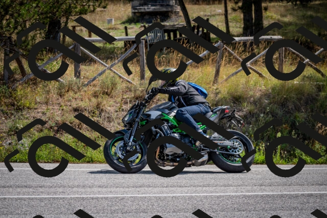 202509071133-DSC_2903_c2