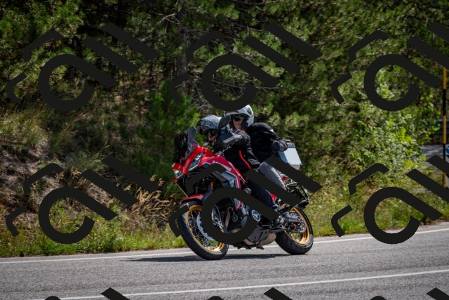 202509071135-DSC_2912_c2