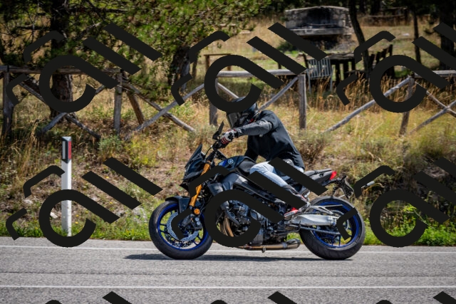 202509071135-DSC_2915_c2