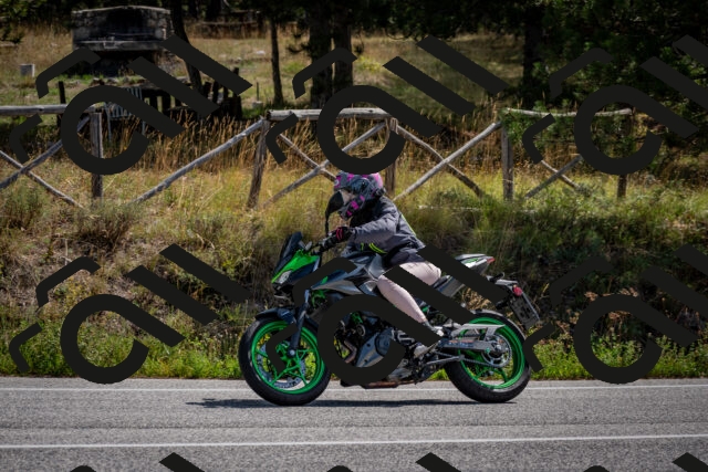 202509071135-DSC_2916_c2