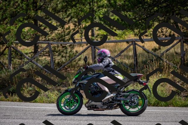 202509071135-DSC_2917_c2