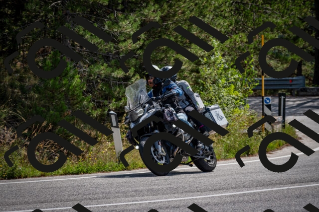 202509071136-DSC_2918_c2