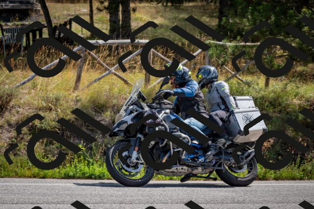 202509071136-DSC_2919_c2