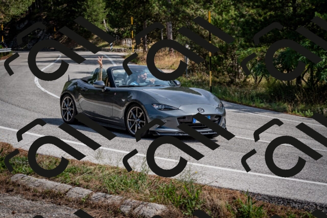 202509071137-DSC_2920_c2