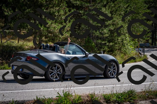 202509071137-DSC_2922_c2