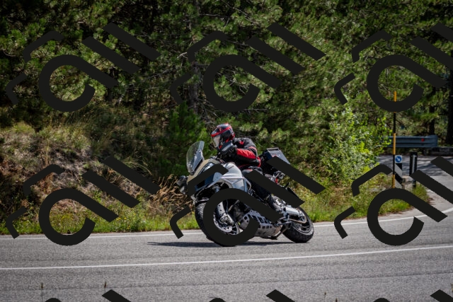 202509071137-DSC_2924_c2