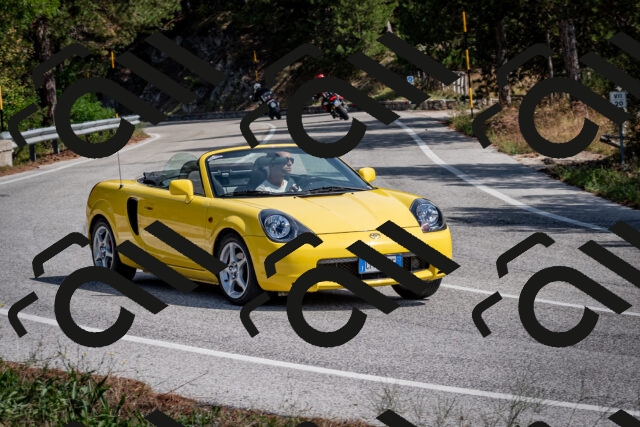 202509071137-DSC_2927_c2