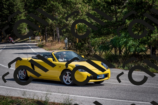 202509071137-DSC_2928_c2