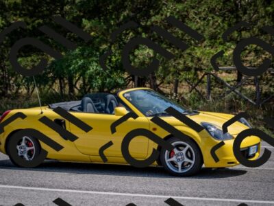 202509071137-DSC_2929_c2