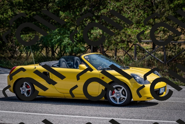 202509071137-DSC_2929_c2