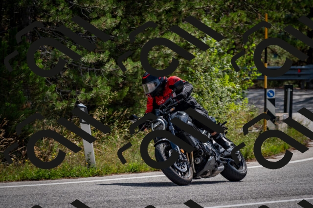 202509071139-DSC_2937_c2