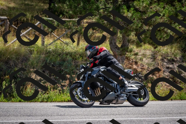 202509071139-DSC_2938_c2