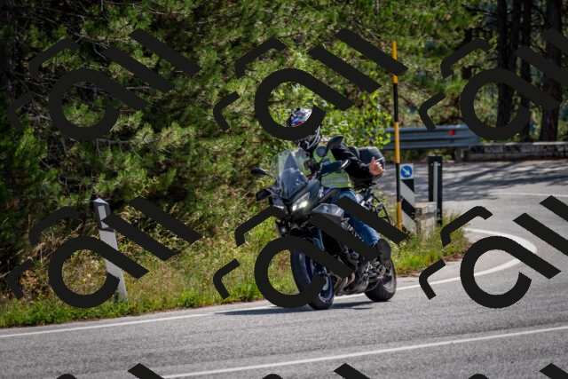 202509071139-DSC_2941_c2