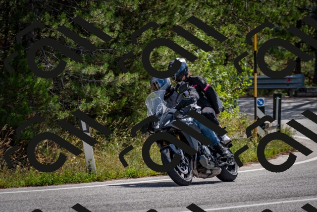 202509071139-DSC_2949_c2