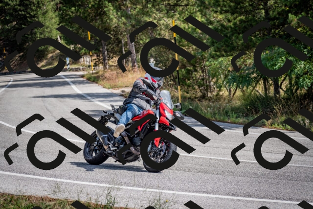 202509071139-DSC_2954_c2