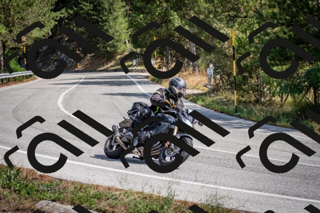 202509071141-DSC_2963_c2