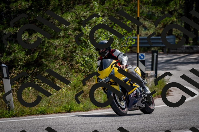202509071141-DSC_2965_c2