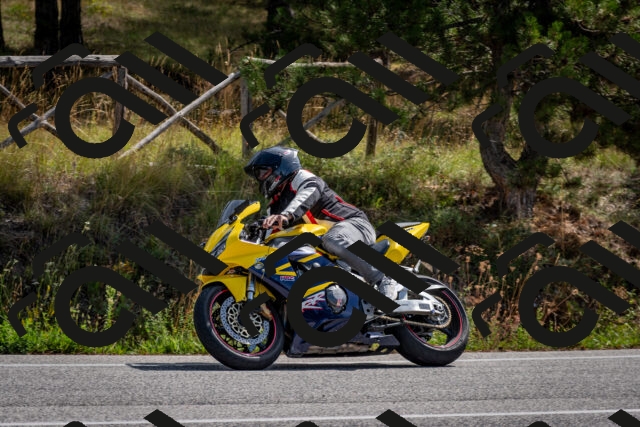 202509071141-DSC_2966_c2