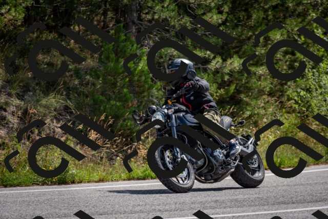 202509071141-DSC_2968_c2