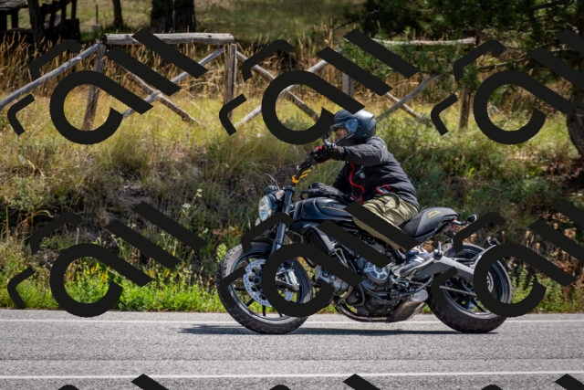 202509071141-DSC_2969_c2