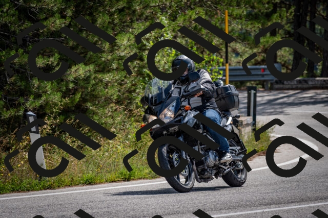 202509071142-DSC_2974_c2