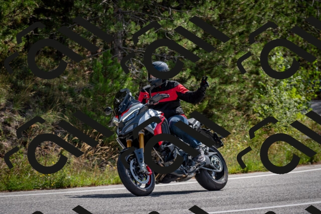 202509071142-DSC_2976_c2