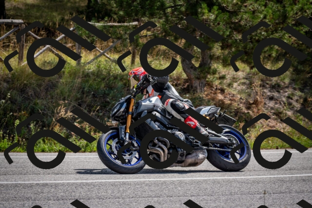 202509071142-DSC_2981_c2