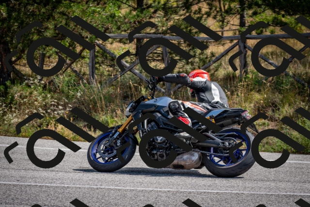 202509071142-DSC_2982_c2