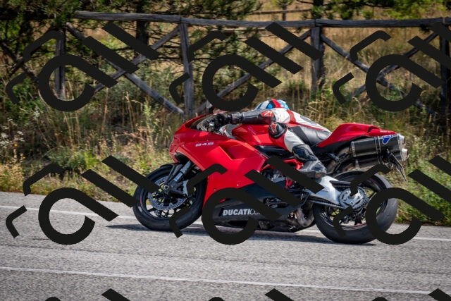 202509071142-DSC_2987_c2