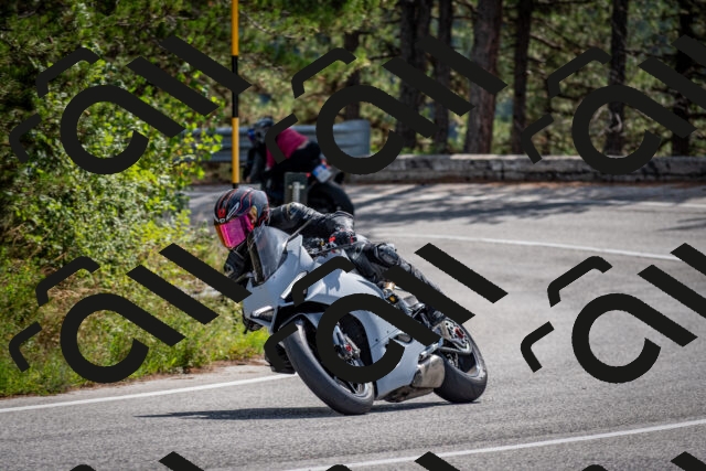 202509071142-DSC_2992_c2