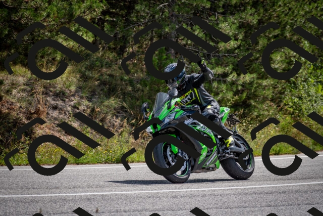 202509071143-DSC_2995_c2