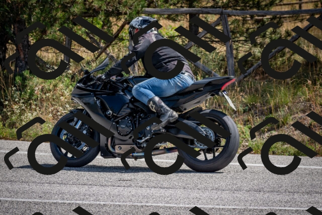 202509071143-DSC_2997_c2