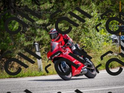 202509071143-DSC_3000_c2