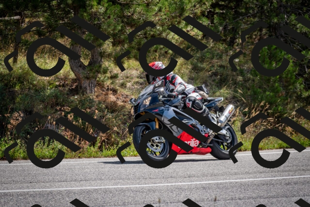 202509071144-DSC_3007_c2