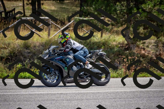 202509071144-DSC_3008_c2