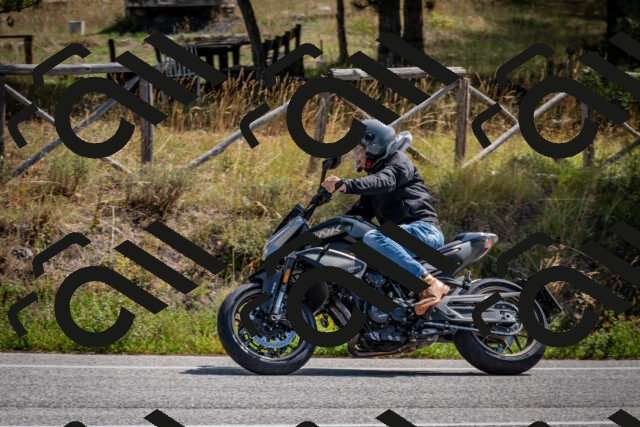 202509071144-DSC_3013_c2