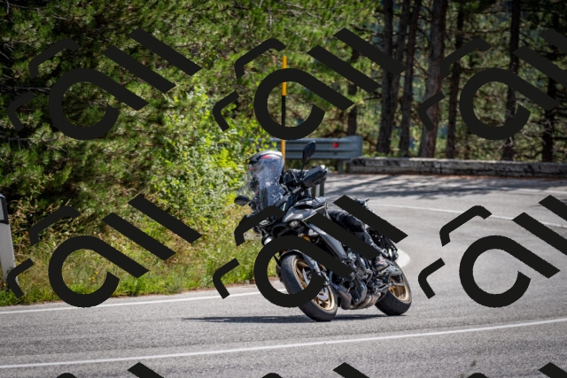 202509071145-DSC_3021_c2