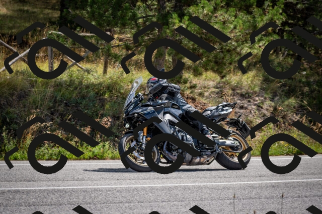 202509071145-DSC_3022_c2