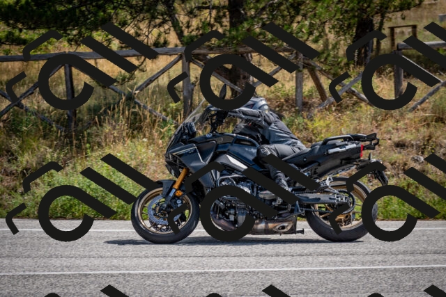 202509071145-DSC_3023_c2