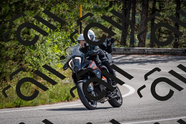 202509071145-DSC_3024_c2