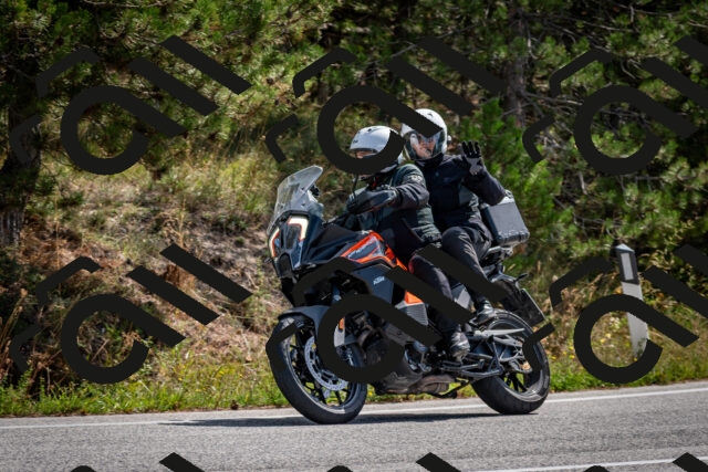 202509071145-DSC_3025_c2