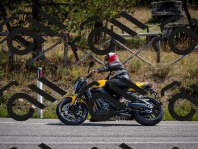 202509071150-DSC_3085_c2