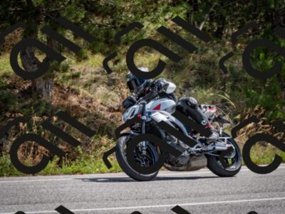 202509071155-DSC_3138_c2