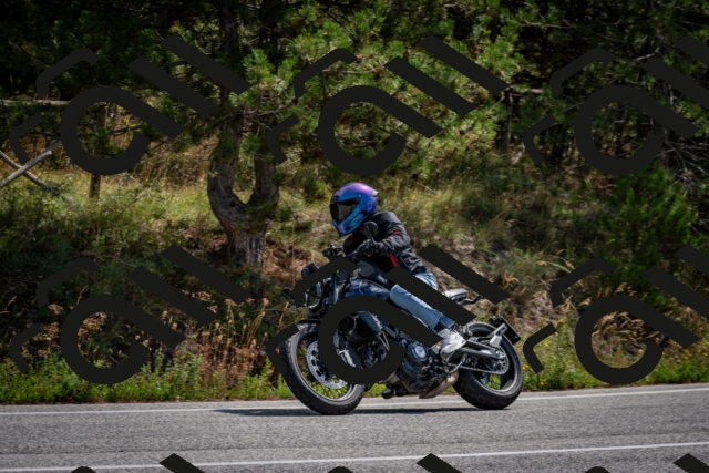 202509071159-DSC_3185_c2